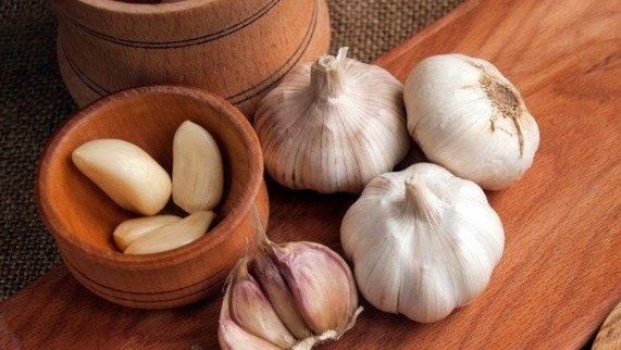 Garlic